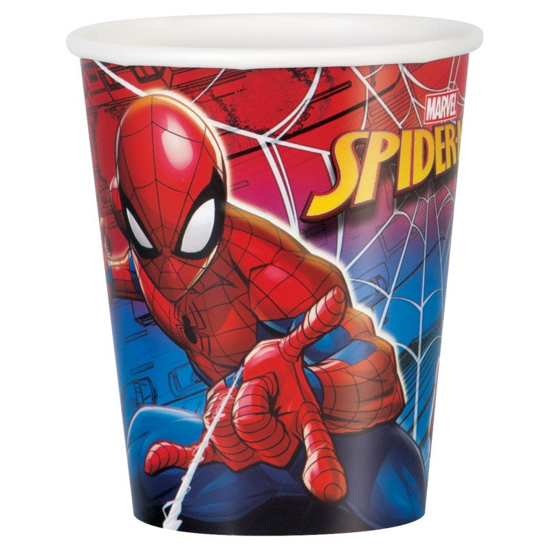Boîte Party Spiderman