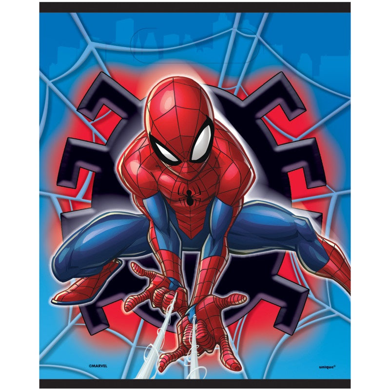 Boîte Party Spiderman