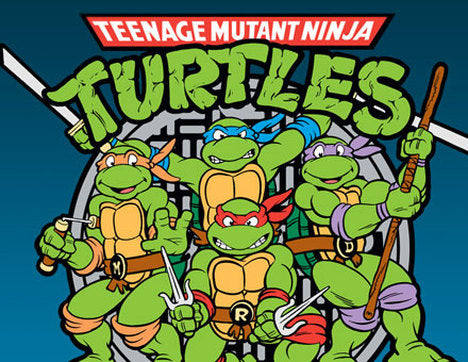 Boîte Party Tortues Ninja