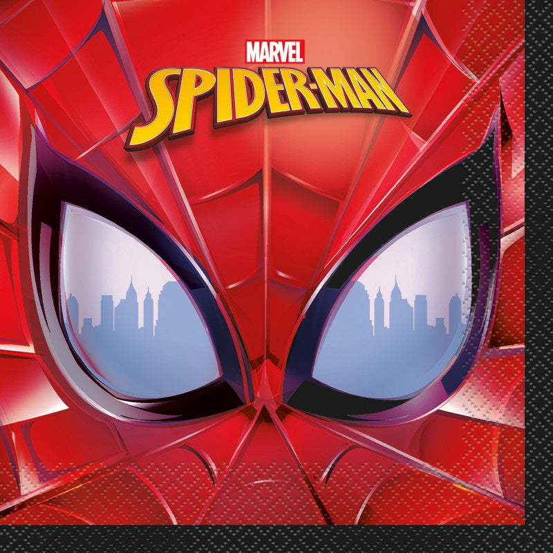 Boîte Party Spiderman